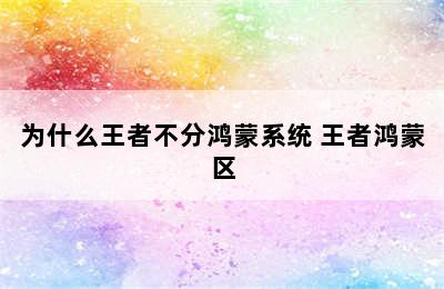 为什么王者不分鸿蒙系统 王者鸿蒙区